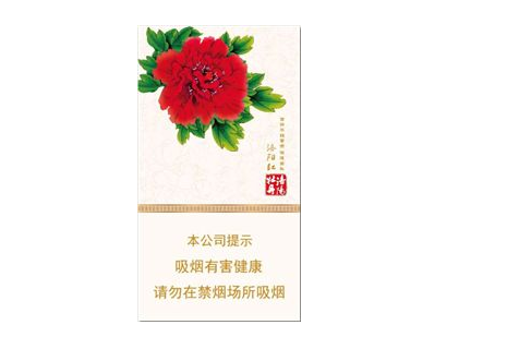 正品金圣香烟多少钱一条